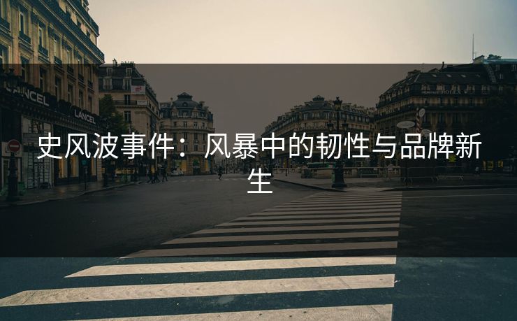 史风波事件：风暴中的韧性与品牌新生