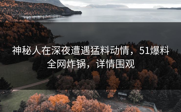 神秘人在深夜遭遇猛料动情，51爆料全网炸锅，详情围观