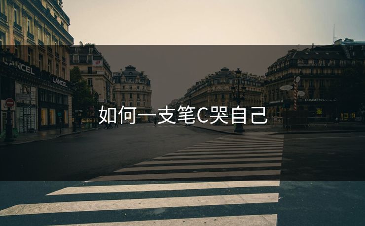 如何一支笔C哭自己