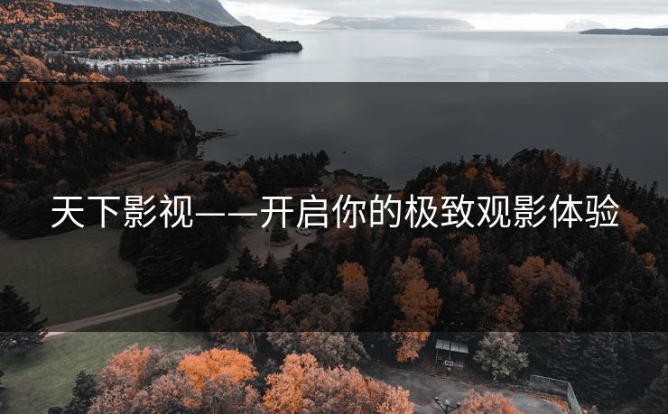 天下影视——开启你的极致观影体验
