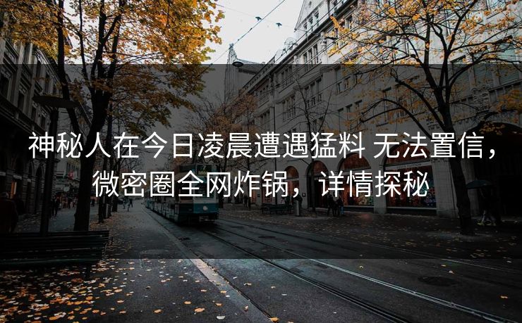 神秘人在今日凌晨遭遇猛料 无法置信，微密圈全网炸锅，详情探秘