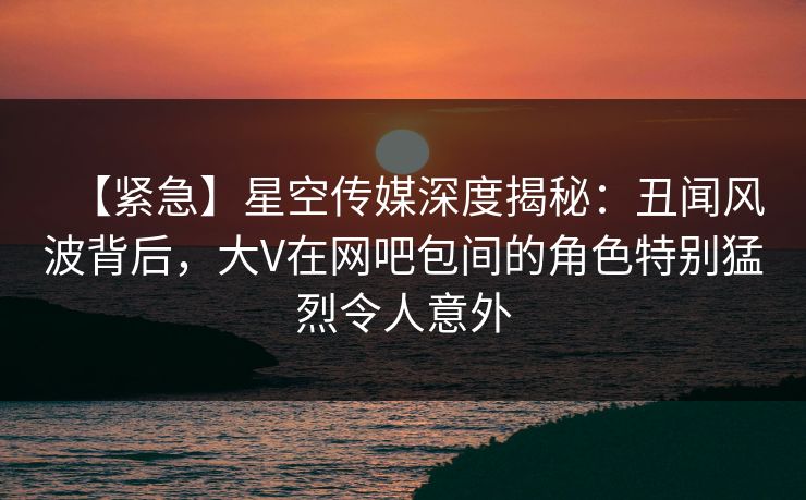 【紧急】星空传媒深度揭秘：丑闻风波背后，大V在网吧包间的角色特别猛烈令人意外