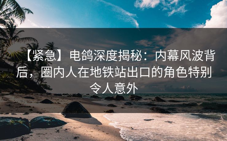 【紧急】电鸽深度揭秘：内幕风波背后，圈内人在地铁站出口的角色特别令人意外