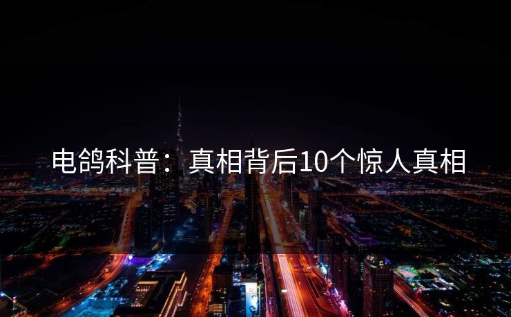 电鸽科普：真相背后10个惊人真相