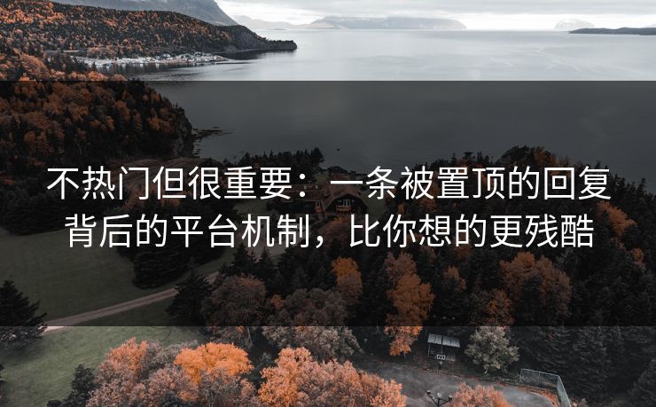 不热门但很重要：一条被置顶的回复背后的平台机制，比你想的更残酷