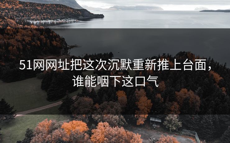 51网网址把这次沉默重新推上台面，谁能咽下这口气